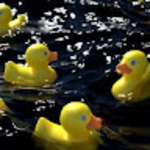 Meet your Posher, Kayleigh